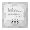AVATTO WOT20-FR presa smart