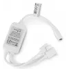 Avide Striscia LED blister 12V 16W RGB 5m con telecomando IR
