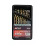 AWTOOLS Set di punte elicoidali HSS-Co cobalto 25 pezzi 1-13 mm per forare metallo