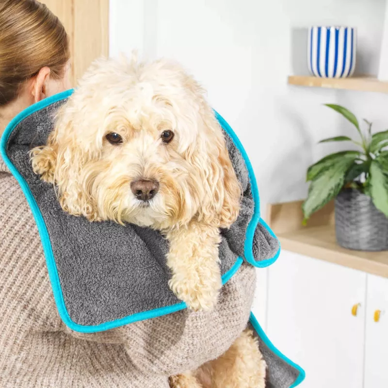 Beldray LA036157UFEU7 Anti-bac asciugamano per asciugare animali domestici - grigio