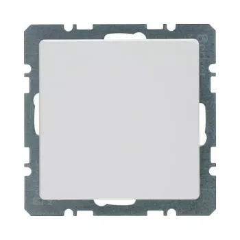 Berker 10096089 placca cieca Q.1 con piastra centrale, bianco polare velluto, termoplastica, IP20, 1 modulo