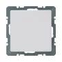 Berker 10096089 placca cieca Q.1 con piastra centrale, bianco polare velluto, termoplastica, IP20, 1 modulo