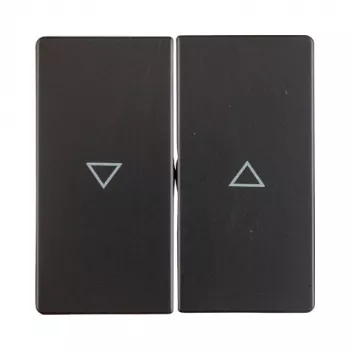 Berker Q.1/Q.3 tasto con simbolo freccia, antracite opaco