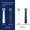 Beurer TB 15 Green Planet spazzolino elettrico bianco sonic testina rotonda 3 programmi 2 testine 104,92