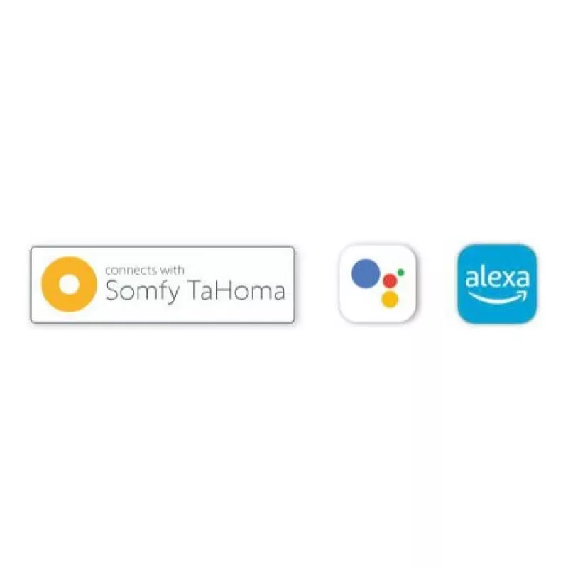 BFT B-EBA modulo di connettività Wi-Fi EVO con antenna (Bluetooth/easyAXS/TaHoma)