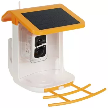 Mangiatoia per uccelli con fototrappola APTI-W31BF1-VICOHOME