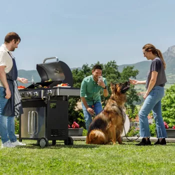 Black+Decker BXOG12950E grill a gas, 3 bruciatori