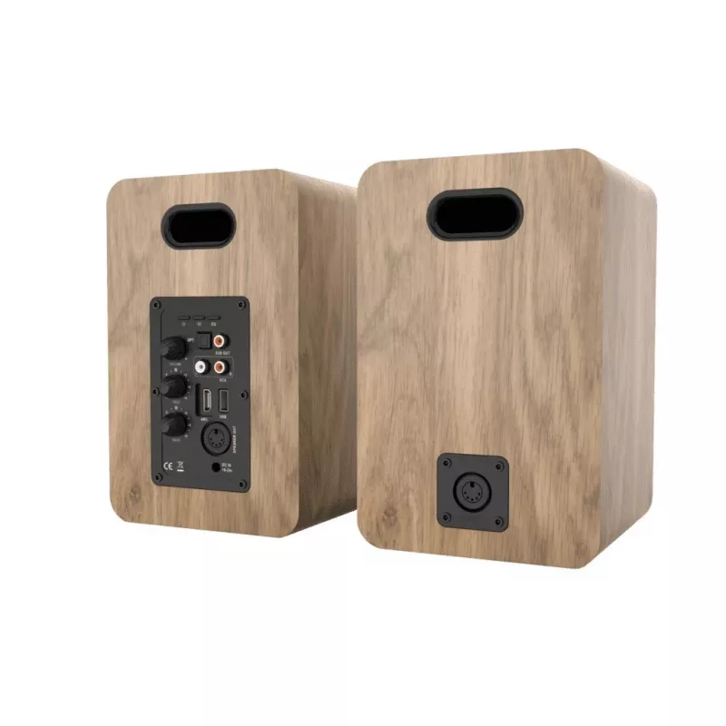 Blaupunkt BS50OK diffusore da pavimento a 2 vie 50W RMS marrone