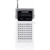 Blaupunkt PR4WH radio portatile AM/FM grigio