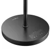 BLITZWOLF Doppia lampada da terra con telecomando BlitzWill BWL-FL-0001, 36W (nero)