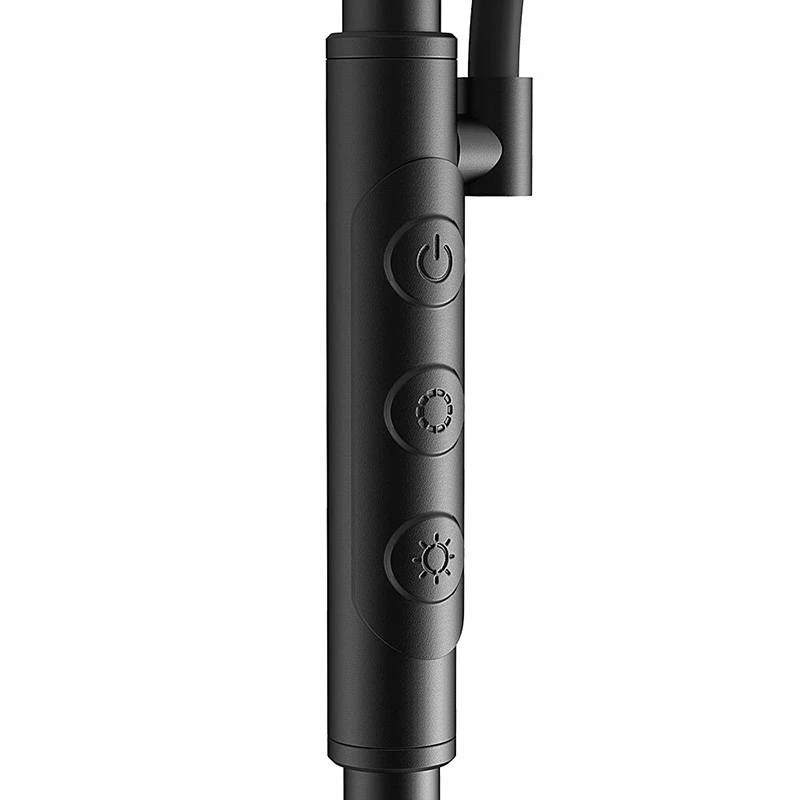 BLITZWOLF Doppia lampada da terra con telecomando BlitzWill BWL-FL-0001, 36W (nero)