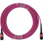 BlueOptics Infortrend 9370FC40GCAB1-0030 Cavo patch MPO-MPO Multi-mode OM4 2 metri