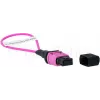 BlueOptics adattatore loopback MPO/MTP multimodale OM4
