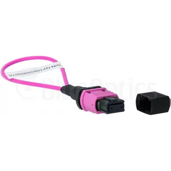 BlueOptics adattatore loopback MPO/MTP multimodale OM4