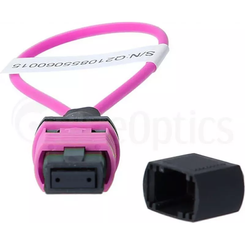 BlueOptics adattatore loopback MPO/MTP multimodale OM4