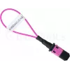 BlueOptics adattatore loopback MPO/MTP multimodale OM4