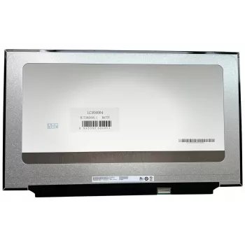 BOE pannello display 17,3 pollici Full HD 300Hz IPS opaco (40-Pin eDP, connettore destro)