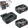 Bosch 18V Starter Set 2 batterie da 2,5 Ah + caricabatterie AL 18V-44 (1600A031T5)