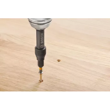 Bosch 2607002786 Set da 20 punte per avvitatore con portapunte magnetico universale, punte da 25 mm in acciaio S2 per Phillips, Pozidriv, taglio, Torx, Hex