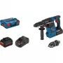 Bosch Professional 18V SDS-Plus Martello perforatore a batteria 5,5 Ah Li-Ion (061191000F)