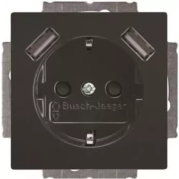BUSCH-JAEGER BJ 20 EUCB2USB-81 presa SCHUKO con 2 porte USB, bianco alpino 2CKA002011A6267