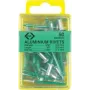 C.K Tools T3819A 508 rivetti ciechi 4,8 x 19 mm alluminio/acciaio testa a cupola (50 pz.)