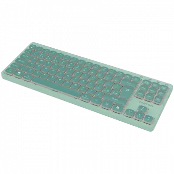 CANYON OnType 10 Low Profile EN Tastiera Cablata Verde