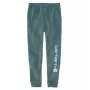 Pantaloni della tuta Carhartt Graphic Jogger
