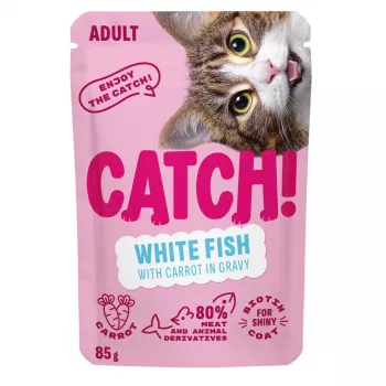 CATCH Pesce bianco e carota in salsa cibo umido per gatti, 85 g bustina