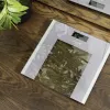 Cecotec Bilancia pesapersone Surface Precision Healthy peso massimo 180 grigio/trasparente