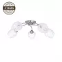 Plafoniera CL17061-5 5x60W E27