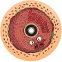 Chubby Wheel 110mm Red Donut - ruota per monopattino freestyle con cuscinetti ABEC-9