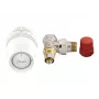 Danfoss RA-N testa termostatica e valvola DN15