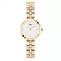 DANIEL WELLINGTON Petite Melrose Orologio donna 22mm cinturino mesh oro rosa DW00100715