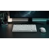 Dark Project ALU81A Terra Nova White tastiera meccanica, switch G3MS Moonstone, US ANSI