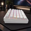 Dark Project Terra Nostra G3MS Moonstone Switch, RU bianco