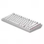 Dark Project Terra Nostra G3MS Moonstone Switch, RU bianco