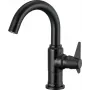 DEANTE Arnika Nero Rubinetto lavabo nero opaco batteria
