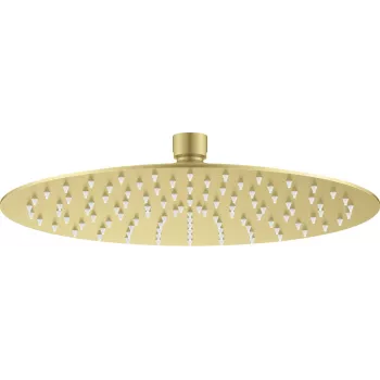 DEANTE Soffione doccia rotondo in acciaio inox 250 mm