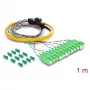 Delock Cavo fanout pigtail fibra ottica 12 x connettore SC-APC simplex a 12 x estremità aperte 1 m