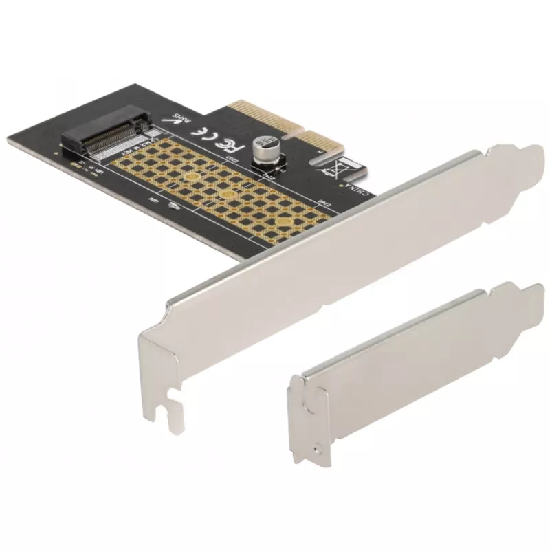 Delock scheda PCI Express x4 a 1 x NVMe M.2 Key M interno 80 mm - formato Low Profile 90047