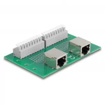 Delock RJ45 2 x connettore femmina su 2 x morsettiera con pulsante per guida DIN (66994)