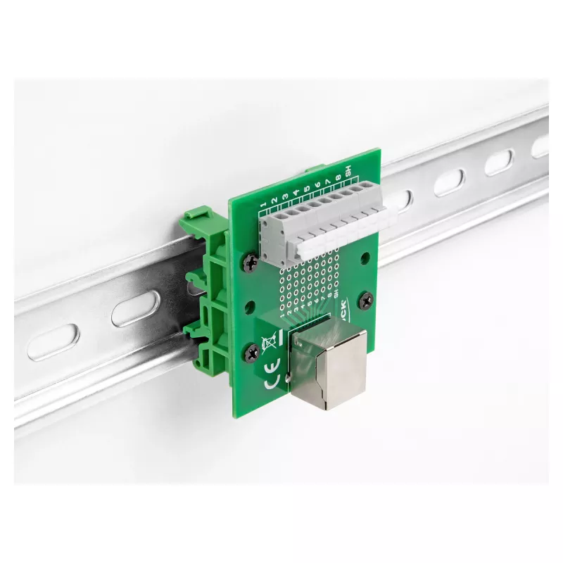 Delock presa RJ45 su morsettiera con pulsante per guida DIN 66992