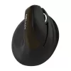 Delux M618 Mini Gold Mouse ergonomico - 2.4G / Bluetooth 5.0 / USB-C, 4000 DPI, verticale per destrimani