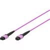 DIGITUS OM4 MPO su MPO cavo patch 12 fibre, 2m, metodo A, viola DK-2566-02/4