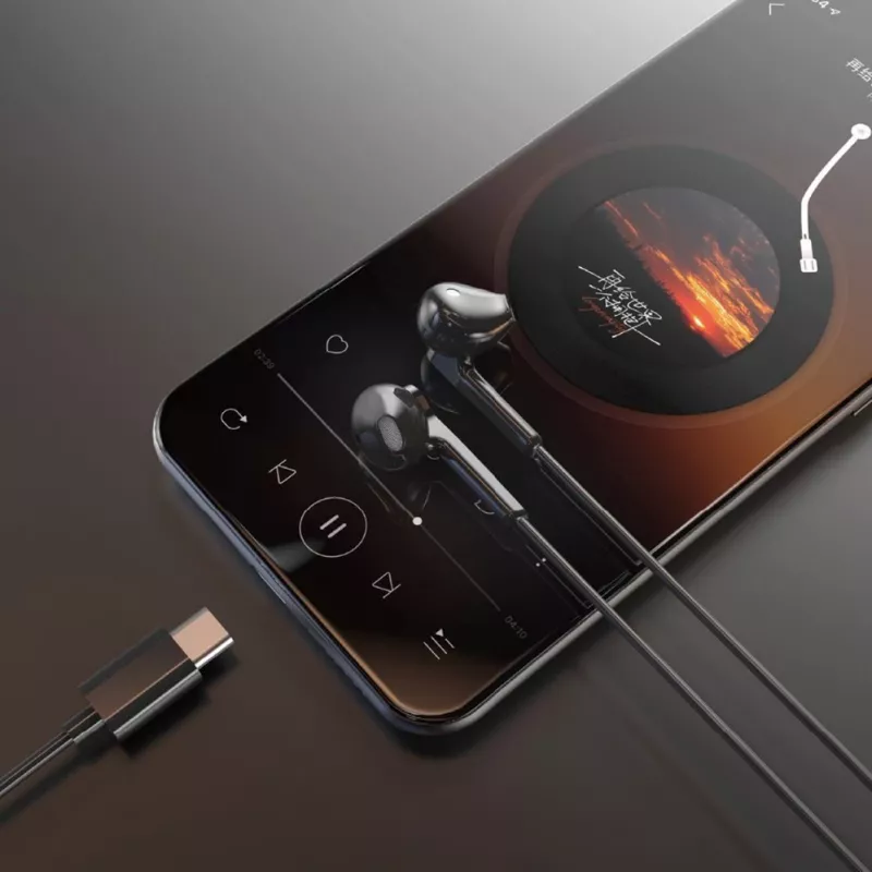 Dudao X3C Cuffie in-ear con filo USB-C 1,2m - nere