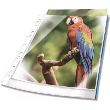 DURABLE A4 Custodie per documenti con apertura superiore, cristallino, con striscia di rilegatura rossa, 100 micron, confezione da 25 265503