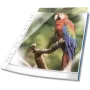 DURABLE A4 Custodie per documenti con apertura superiore, cristallino, con striscia di rilegatura rossa, 100 micron, confezione da 25 265503
