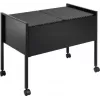 DURABLE ECONOMY DUO 100 carrello per faldoni A4 con capacità 100 file, due file, telaio in acciaio, 4 ruote piroettanti, nero 308201