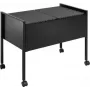 DURABLE ECONOMY DUO 100 carrello per faldoni A4 con capacità 100 file, due file, telaio in acciaio, 4 ruote piroettanti, nero 308201